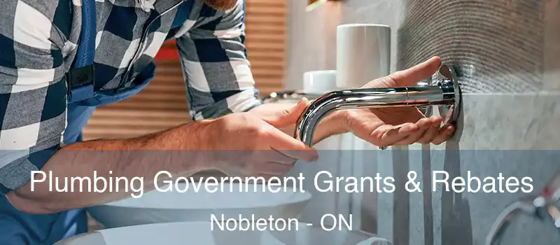  Plumbing Government Grants & Rebates Nobleton - ON