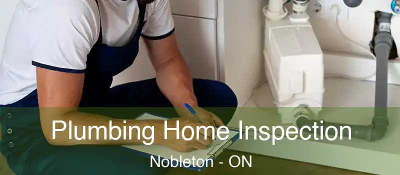 Plumbing Home Inspection Nobleton - ON