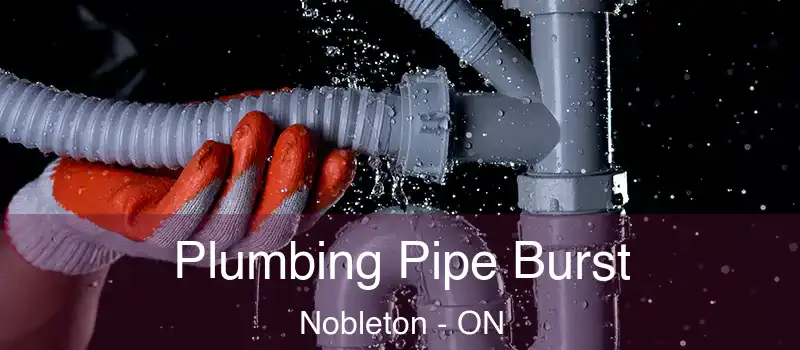 Plumbing Pipe Burst Nobleton - ON
