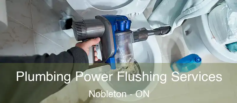  Plumbing Power Flushing Services Nobleton - ON
