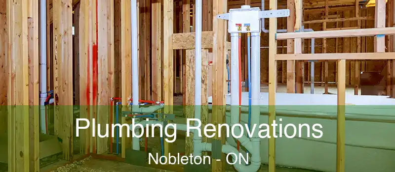  Plumbing Renovations Nobleton - ON