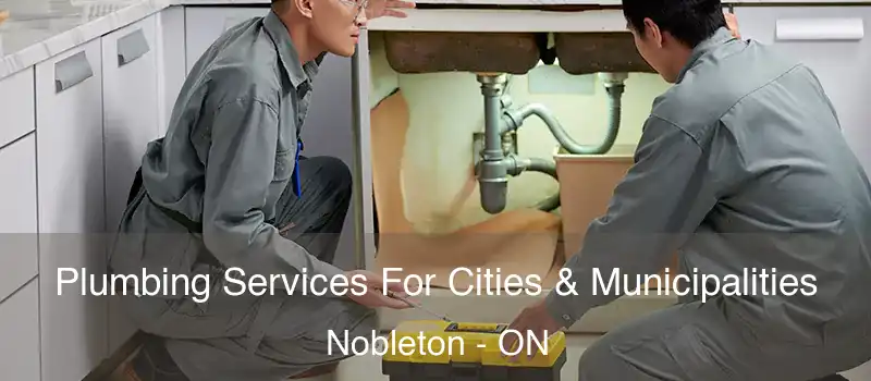  Plumbing Services For Cities & Municipalities Nobleton - ON