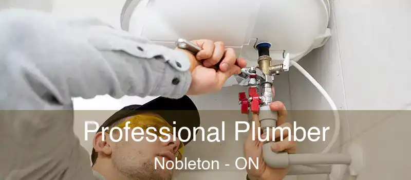  Professional Plumber Nobleton - ON