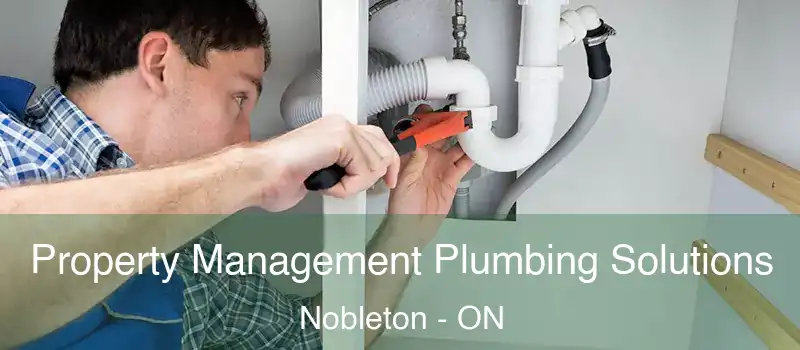  Property Management Plumbing Solutions Nobleton - ON