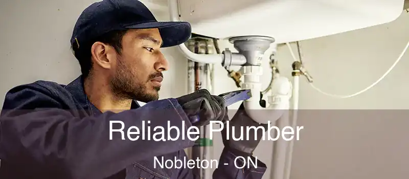  Reliable Plumber Nobleton - ON