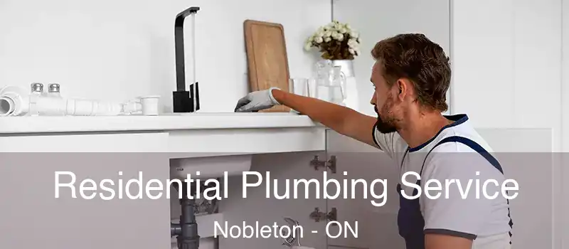  Residential Plumbing Service Nobleton - ON