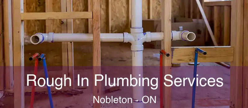  Rough In Plumbing Services Nobleton - ON