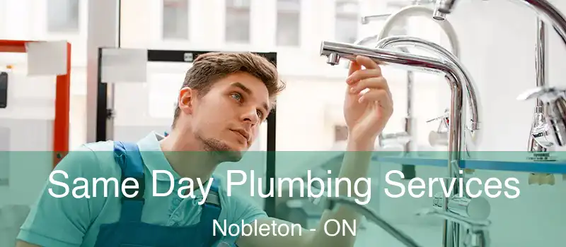  Same Day Plumbing Services Nobleton - ON