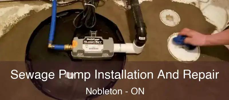  Sewage Pump Installation And Repair Nobleton - ON