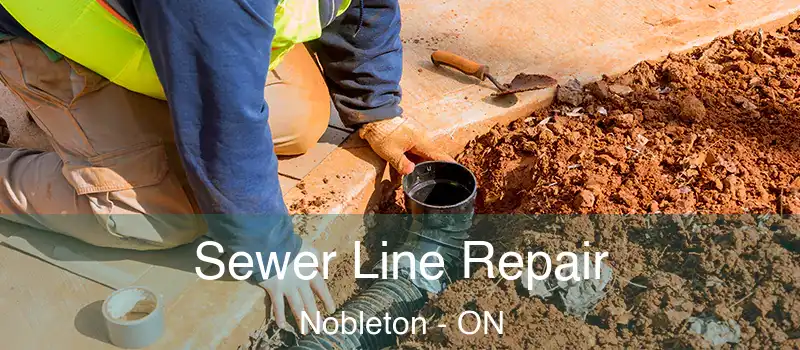  Sewer Line Repair Nobleton - ON