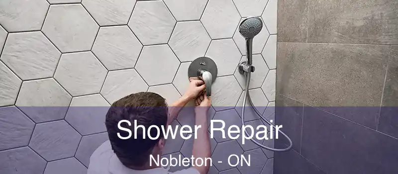 Shower Repair Nobleton - ON