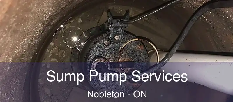  Sump Pump Services Nobleton - ON