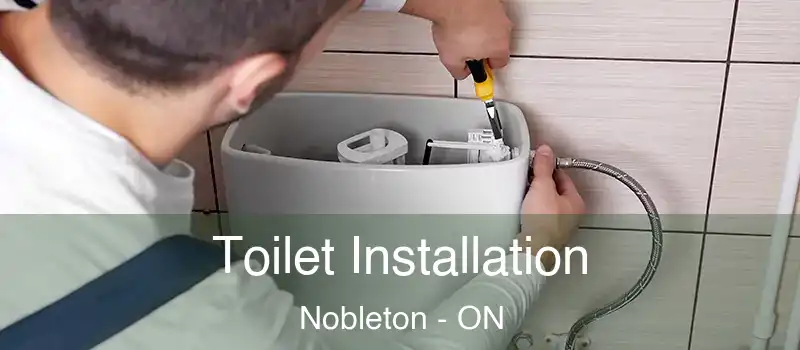  Toilet Installation Nobleton - ON
