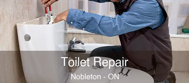  Toilet Repair Nobleton - ON