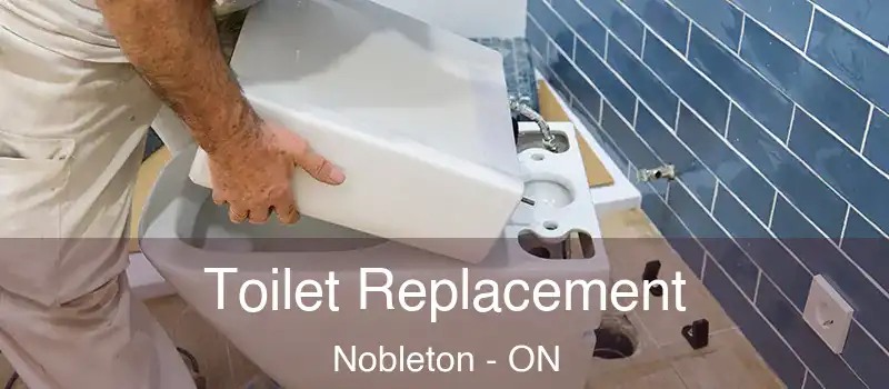  Toilet Replacement Nobleton - ON