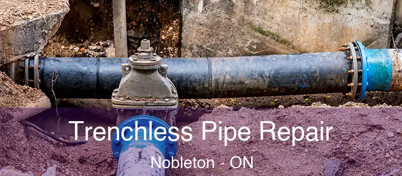 Trenchless Pipe Repair Nobleton - ON