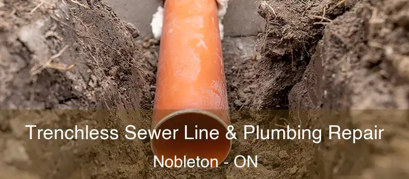  Trenchless Sewer Line & Plumbing Repair Nobleton - ON
