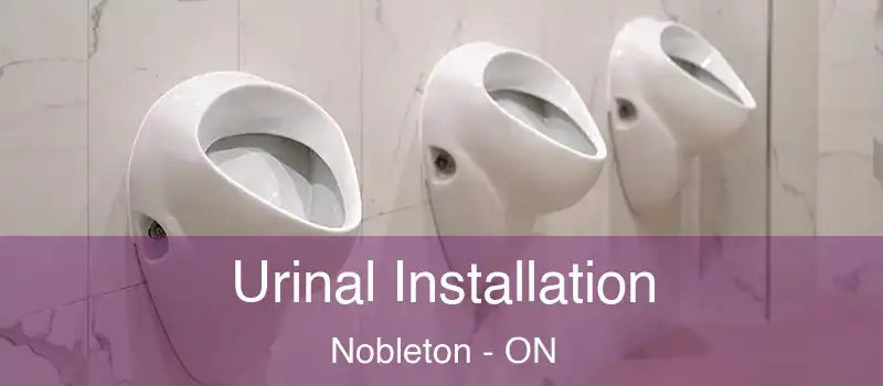  Urinal Installation Nobleton - ON