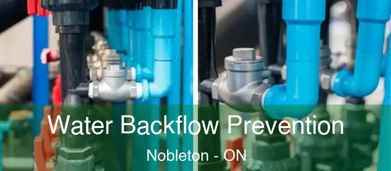  Water Backflow Prevention Nobleton - ON