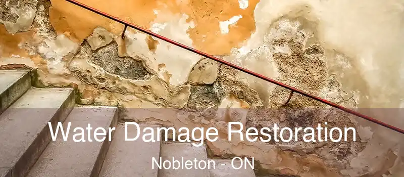  Water Damage Restoration Nobleton - ON