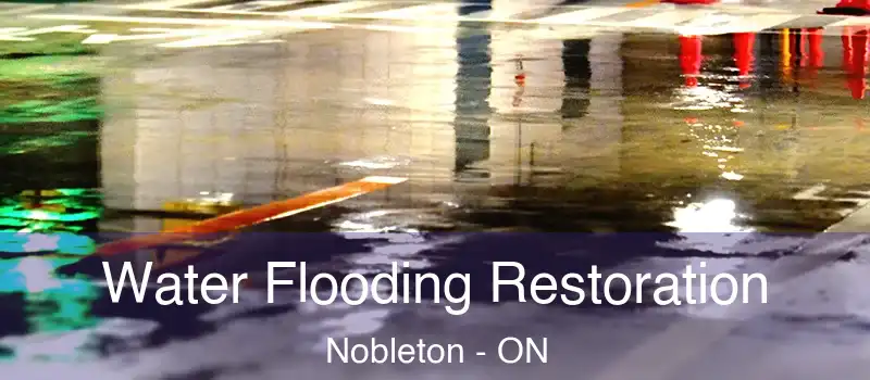  Water Flooding Restoration Nobleton - ON
