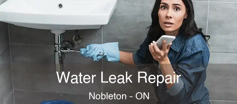  Water Leak Repair Nobleton - ON