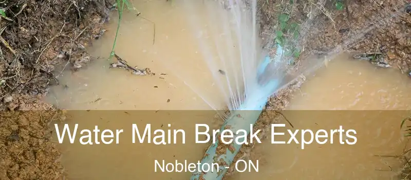  Water Main Break Experts Nobleton - ON