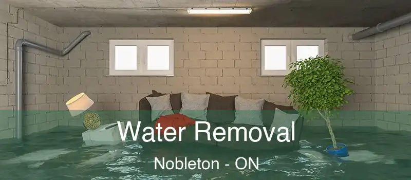  Water Removal Nobleton - ON
