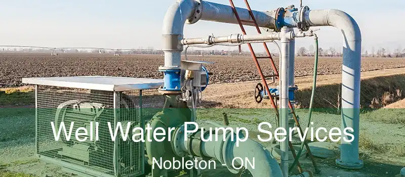  Well Water Pump Services Nobleton - ON